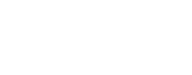 Aoki Juki